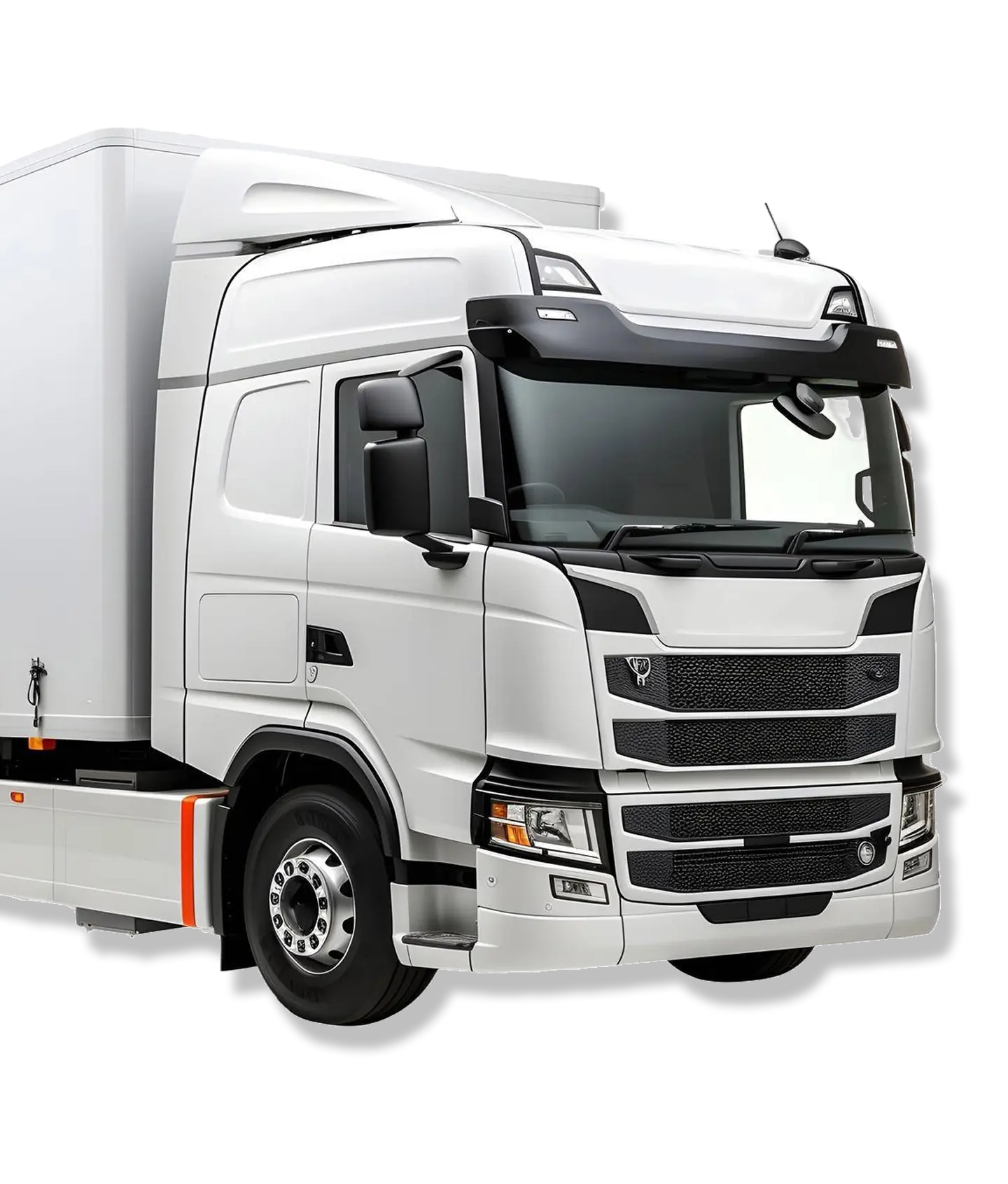 Decoración inferior derecha